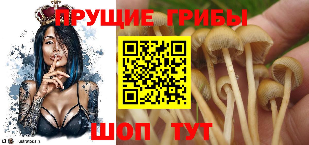 Псилоцибиновые грибы GOLDEN TEACHER Арсеньев